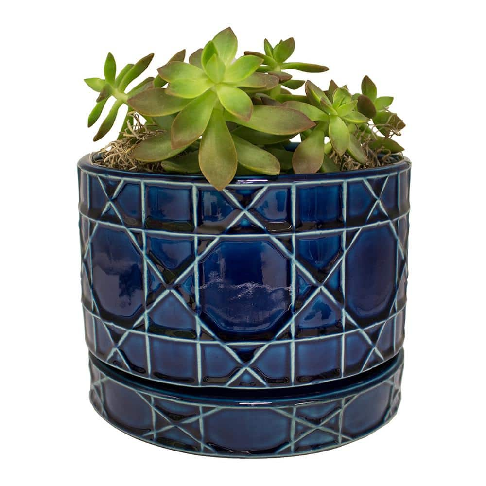 Trendspot 8.5 in. Dia Cobalt Blue Carlysle Ceramic Bowl Planter ECR10020S-080M