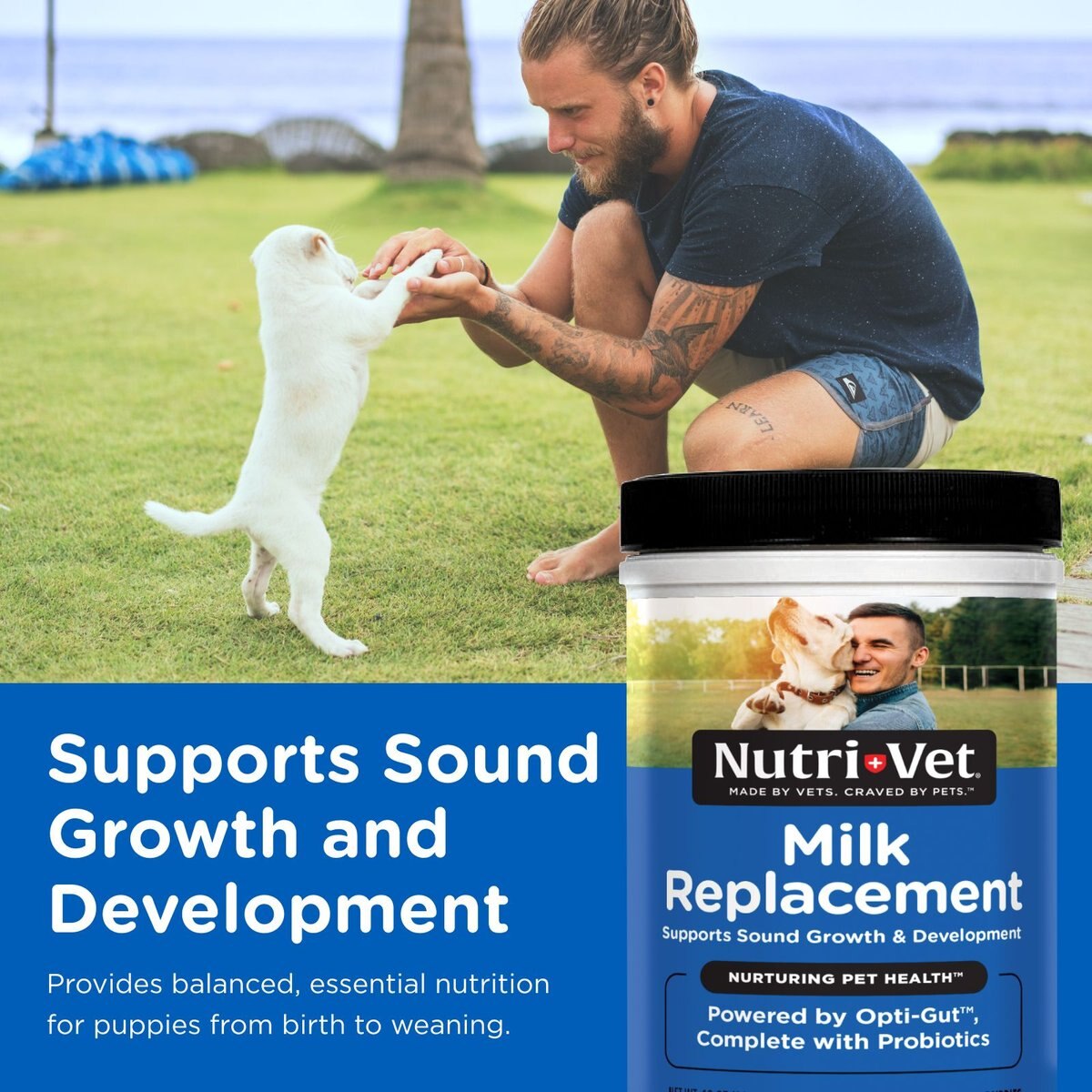 Nutri-Vet Powder Milk Supplement for Dogs