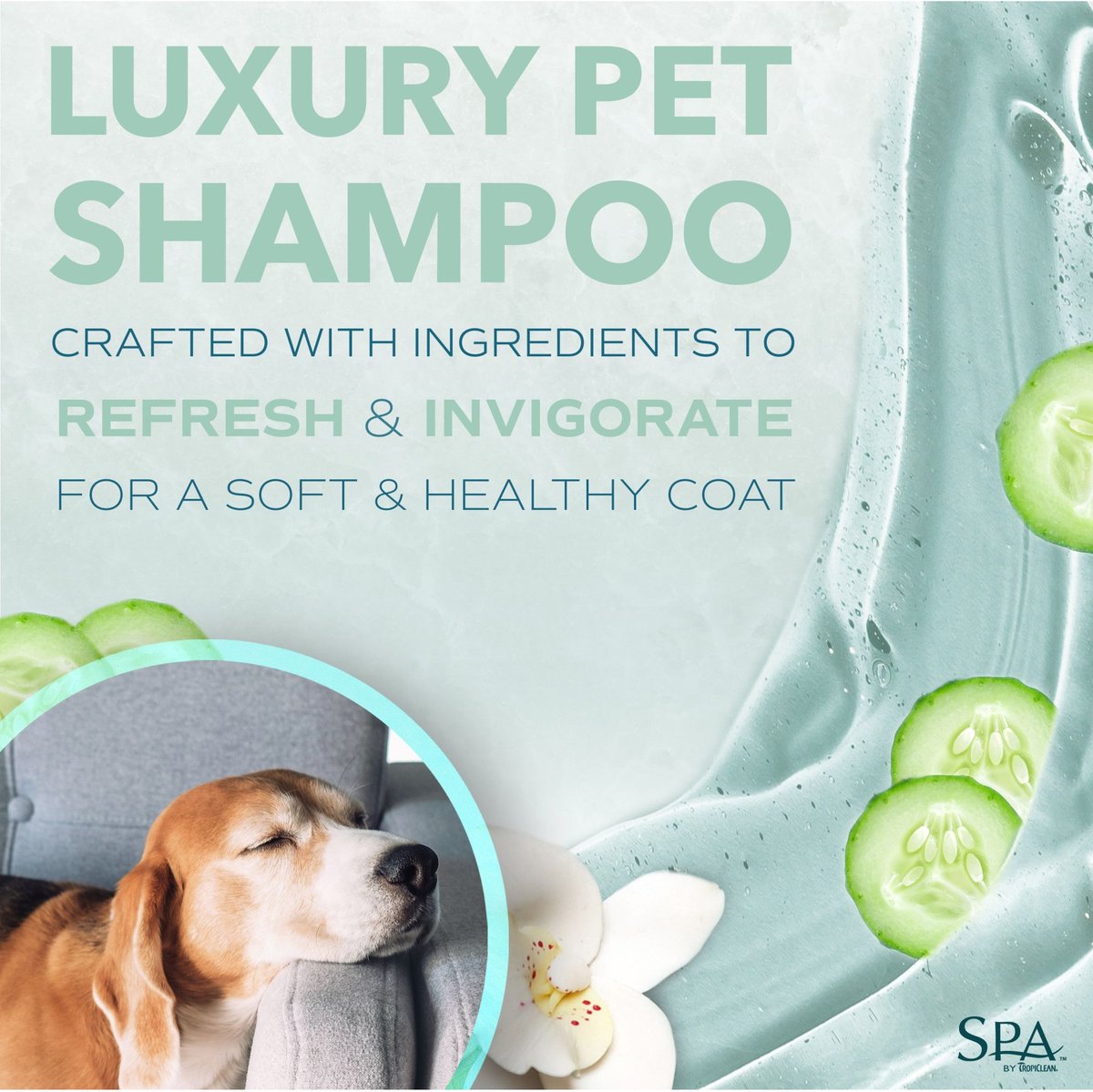 TropiClean Spa Lavish Fresh Shampoo for Dogs and Cats