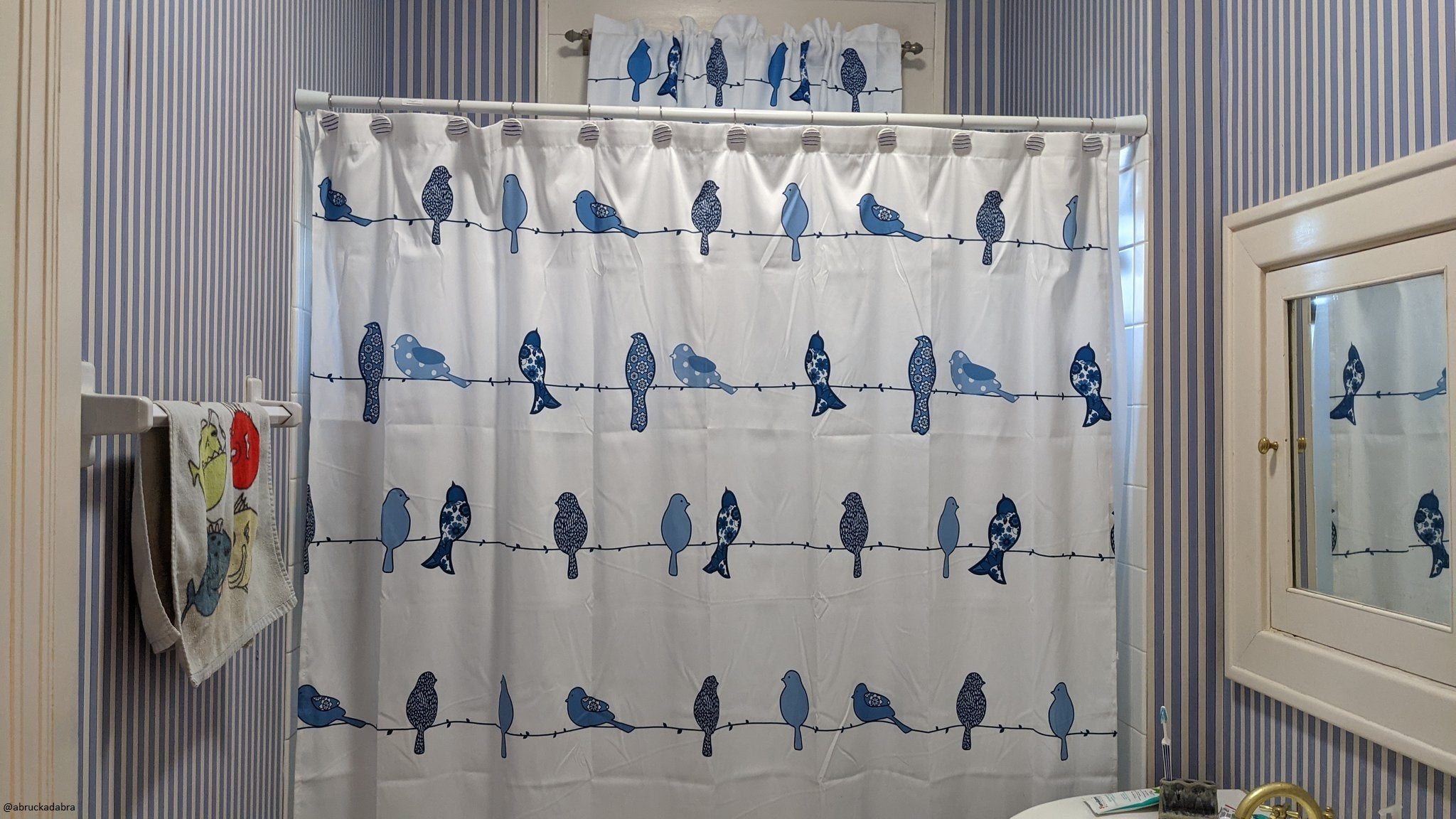 Rowley Birds Room Darkening Valance