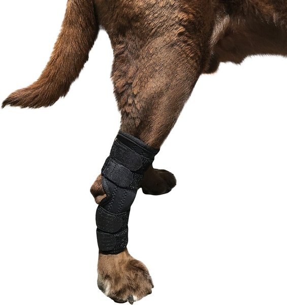 Labra Extra Supportive Dog Hock Brace with Flex Straps