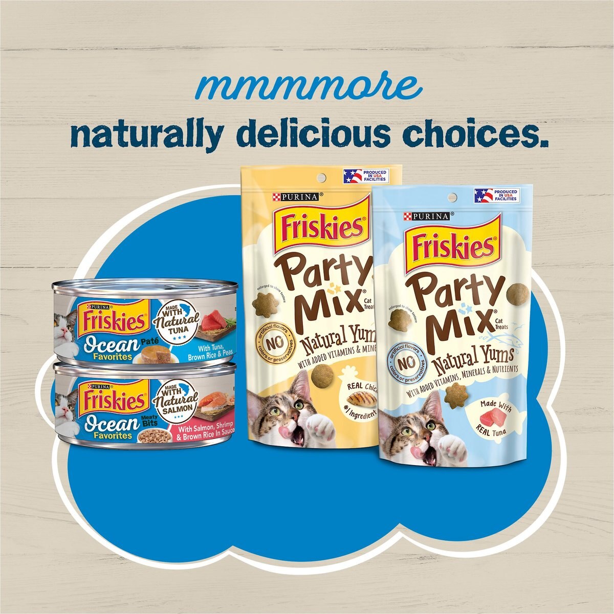 Friskies Ocean Favorites with Natural Salmon Dry Cat Food