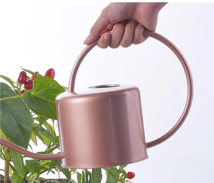 1L metal garden water can Stainless Steel indoor outdoor Water pot Long Spout Watering Can