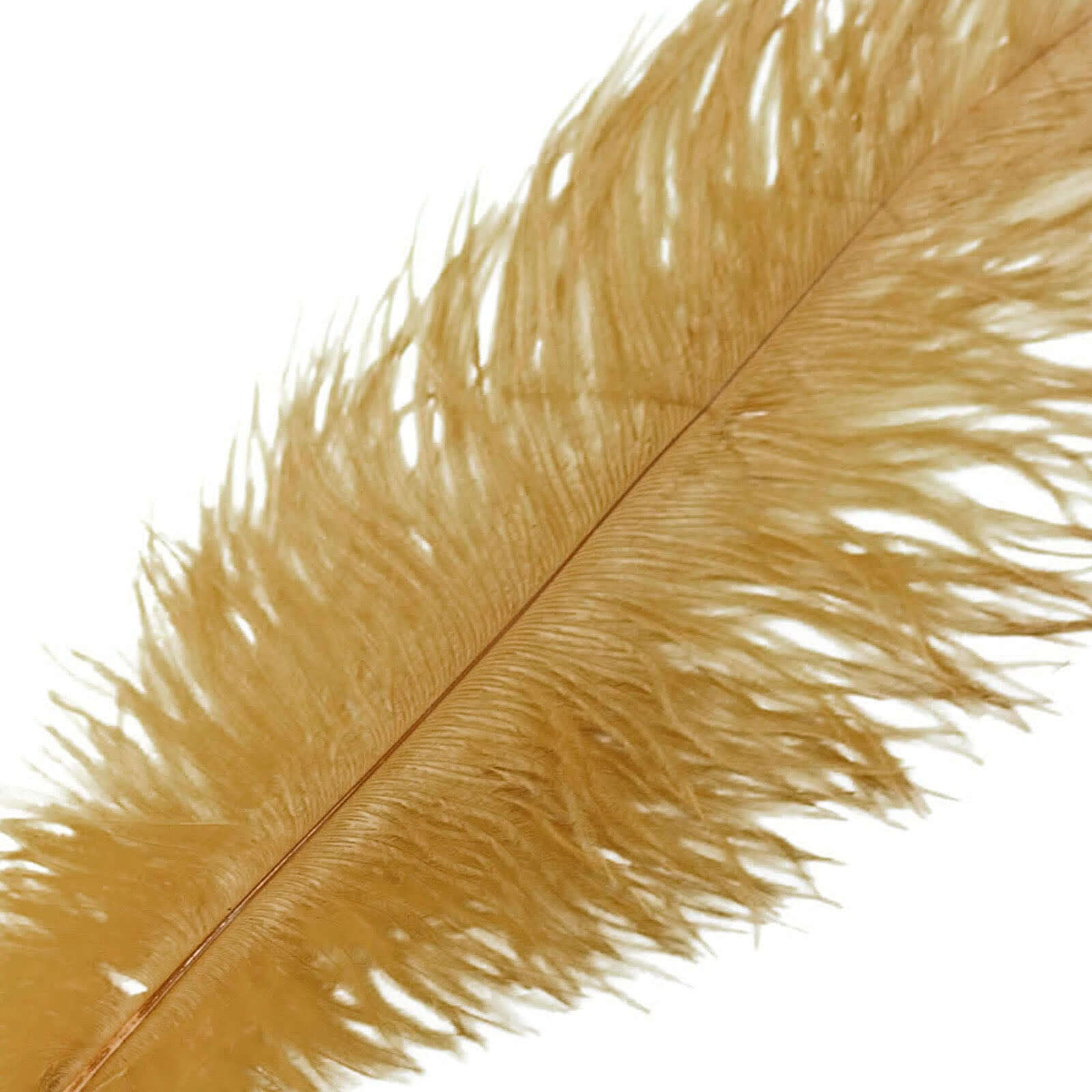 12 Pack Gold Natural Plume Real Ostrich Feathers, DIY Centerpiece Fillers 13