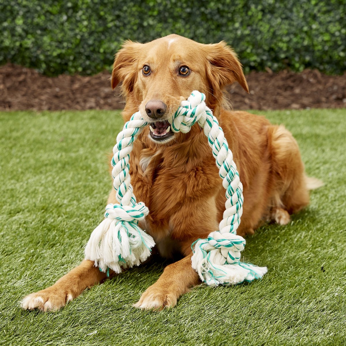 Booda Fresh N Floss Spearmint 3-Knot Rope Dog Toy