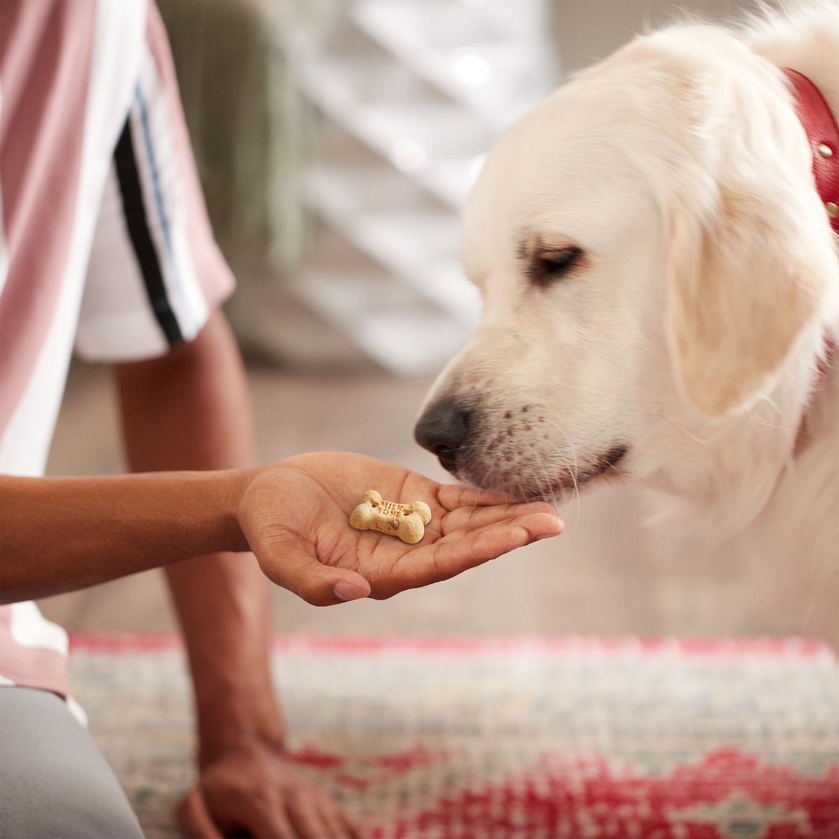 Milk-Bone Chock Full Of Chunks Beef and Bacon Crunchy Dog Treats