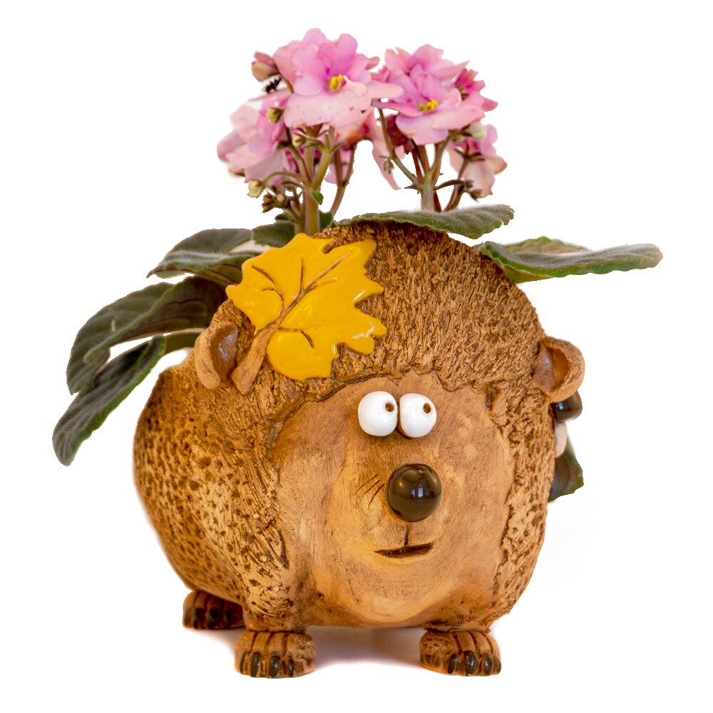 Golden Ceramics Flower Pot Planter   Hedgehog   7.5\