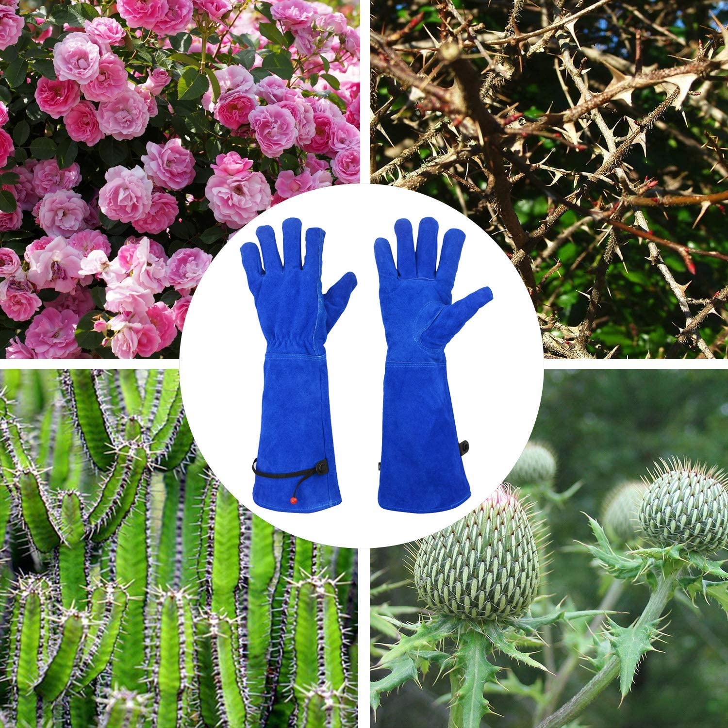 Hometimes 1 Pair Rose Pruning Gloves for Women Gardening, Long Ladies Thorn Proof Garden Gloves (Large, Blue)