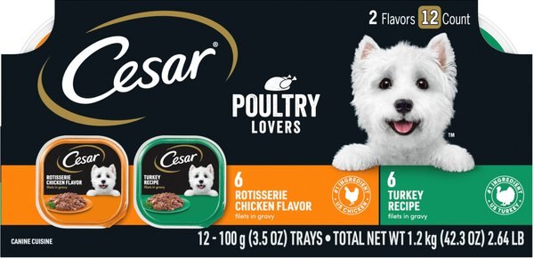 Cesar Poultry Lovers Turkey and Chicken Filets in Gravy Multipack Wet Dog Food Trays