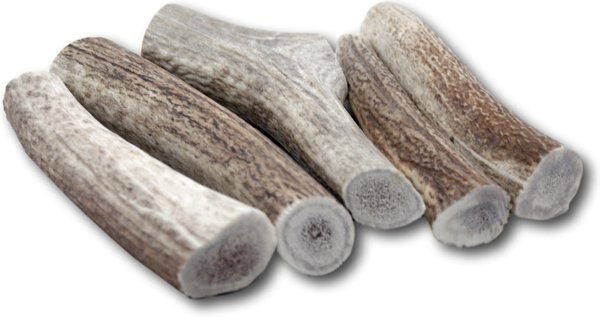 Top Dog Chews Premium Large Elk Antler Dog Treats