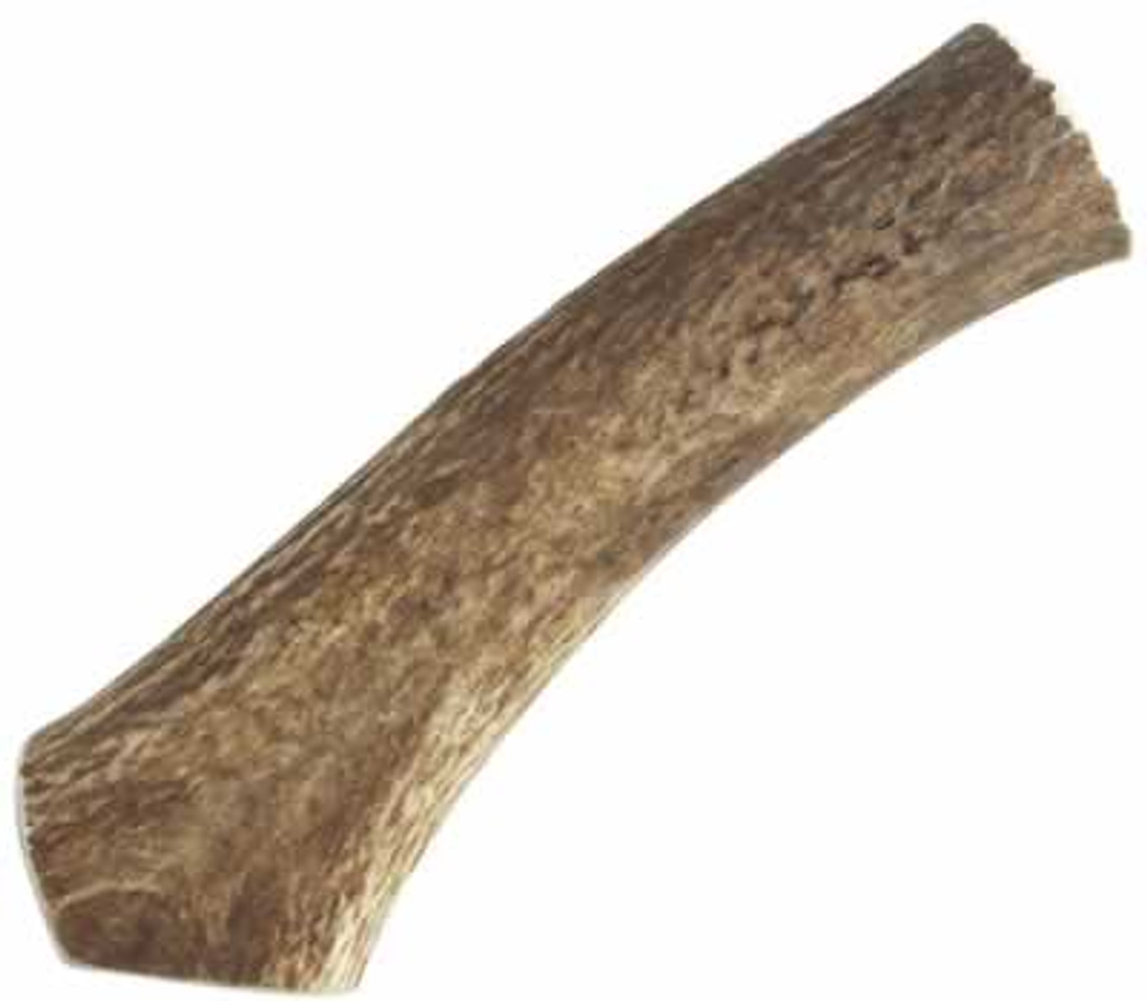 Happy Dog of Cape Cod Whole Elk Antler， Special