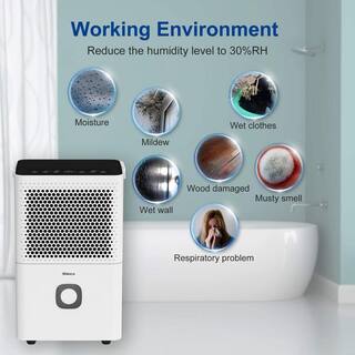 Shinco 30 pt. 1500 sq.ft. Dehumidifier in. White with Auto Defrost Quietly Remove Moisture Activated Carbon Filter Timer JSXKRY071801