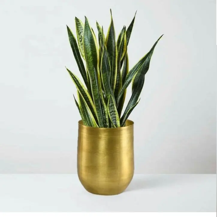 Glossy Finished Brass Planter Modern Design Metal Floor Flower Planter for Living Room Bedroom Display Plant Stand