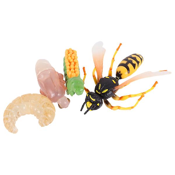 1 Set/4pcs Realistic Insect Growth Model Wasp Display Ornament Kids Cognitive Toy