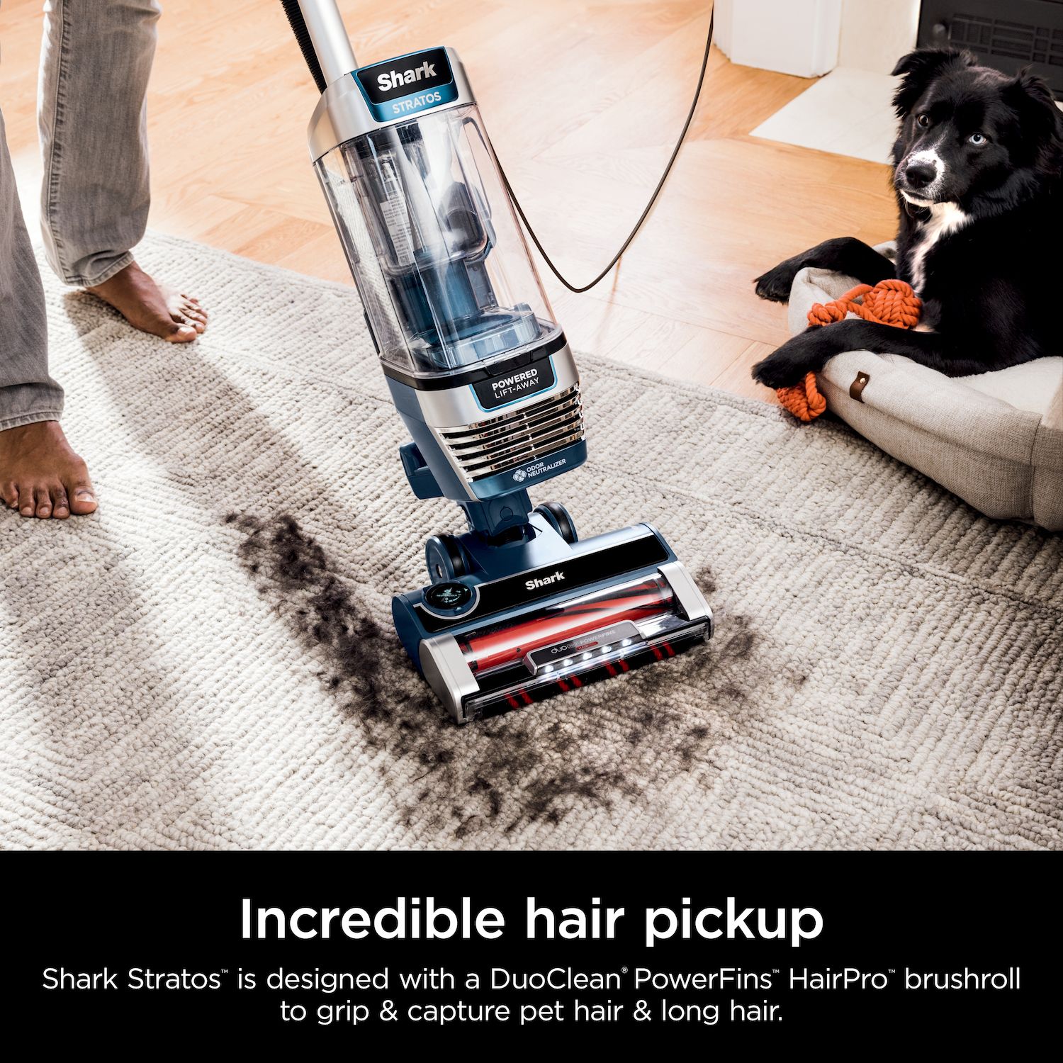 Shark Stratos DuoClean PowerFins HairPro with Self-Cleaning Brushroll Upright Vacuum (AZ3002)