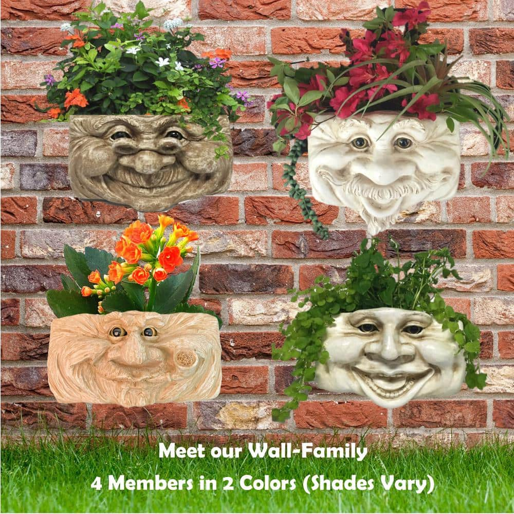 HOMESTYLES 10.5 in. Aunt Minnie Ant. White the Muggly Tree Wall Planter 39645