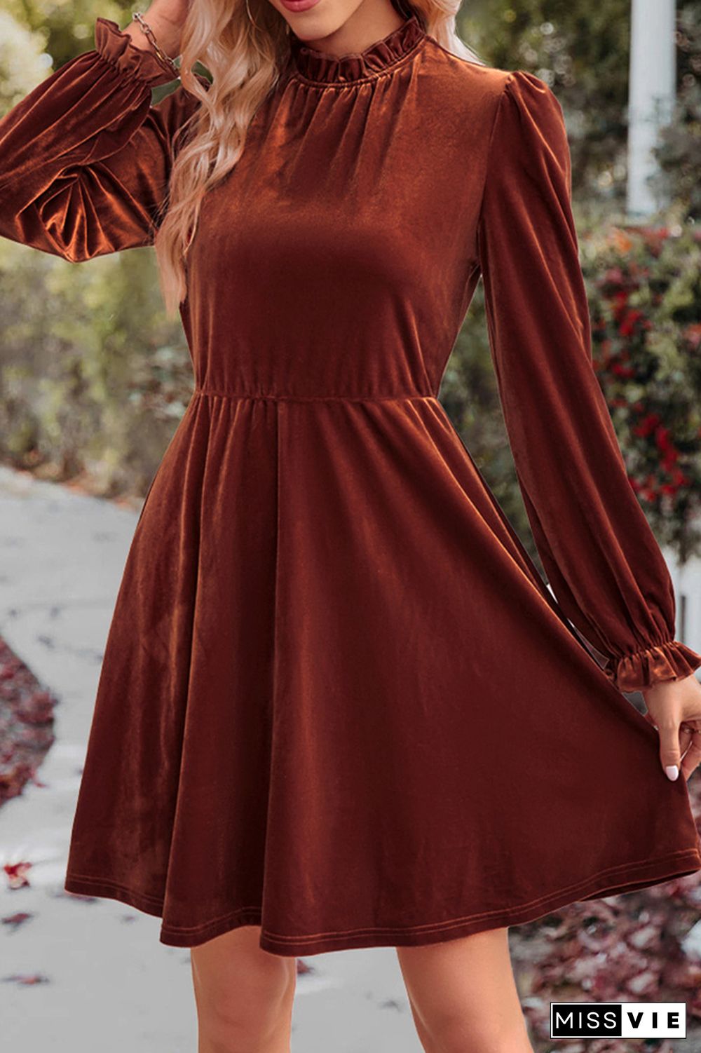 Plain Velvet Long Sleeves Dress