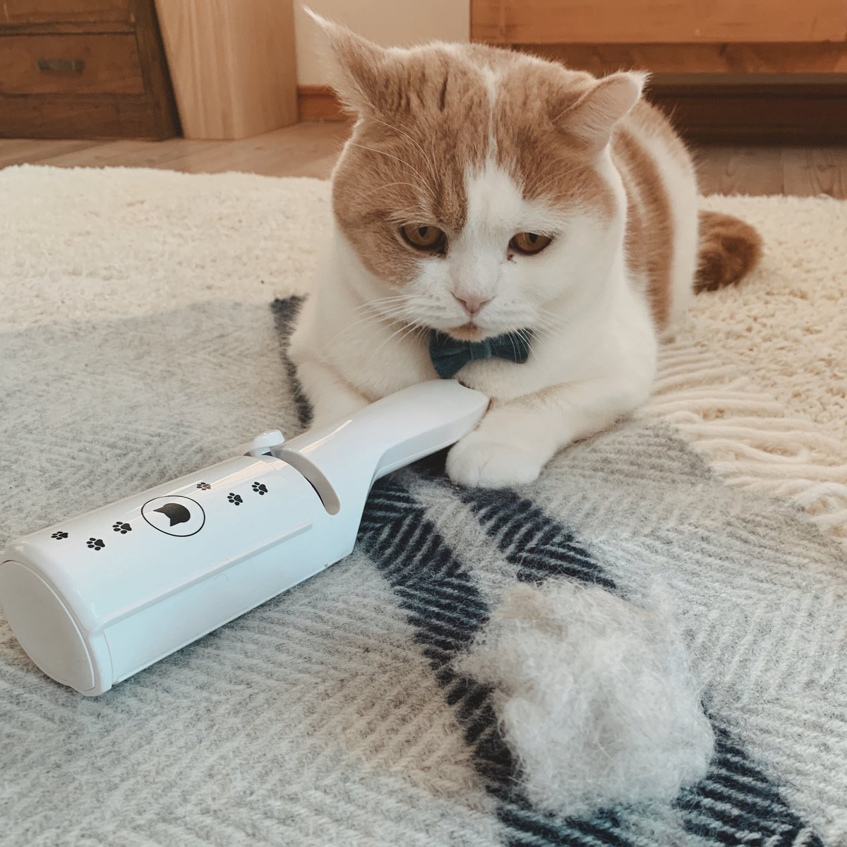 Necoichi Purrfection Neat and Easy Feline Hair Remover