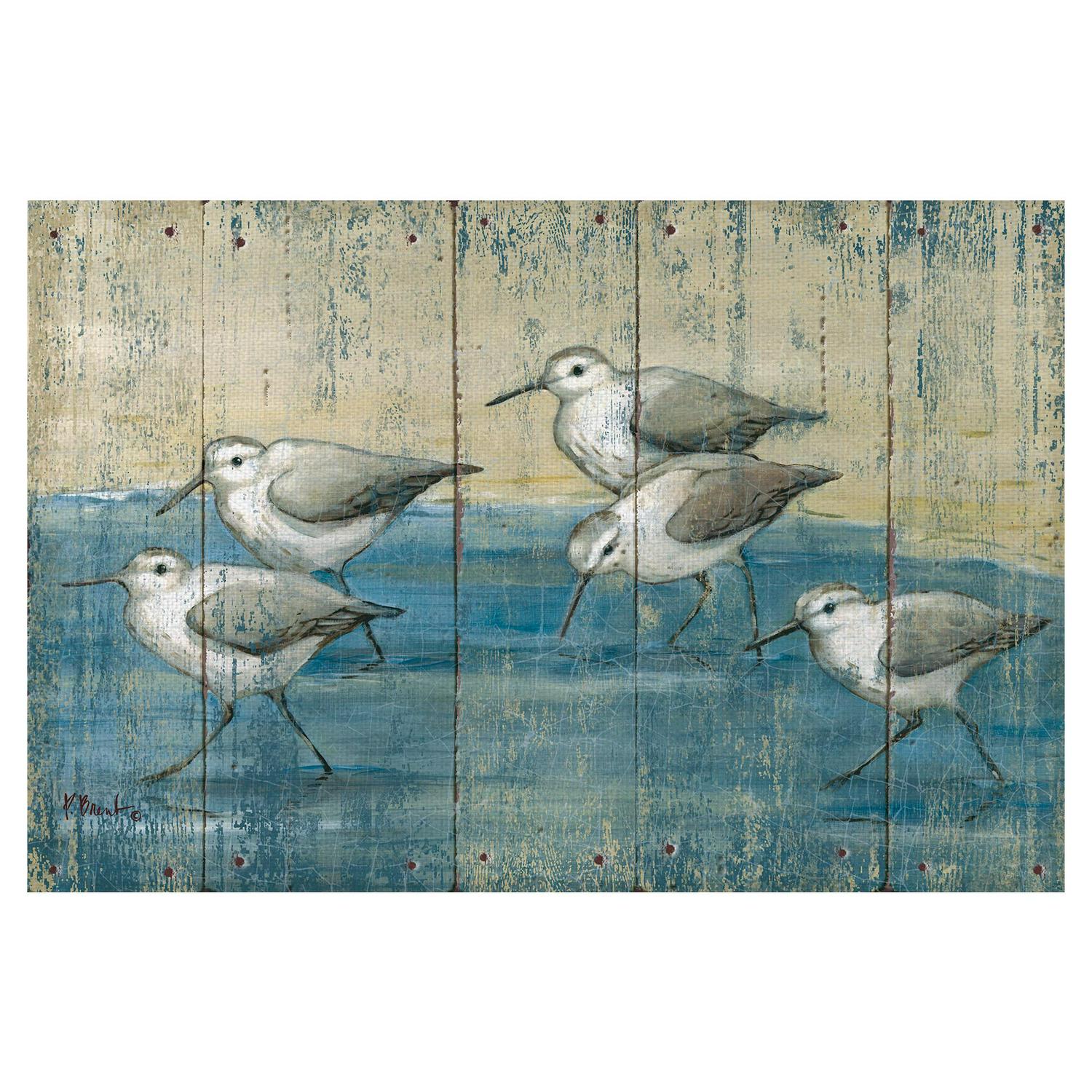 Masterpiece Art Gallery Sandpipers On Wood Coastal Birds By Paul Brent Canvas Art Print 24  x 36  Crowdfused