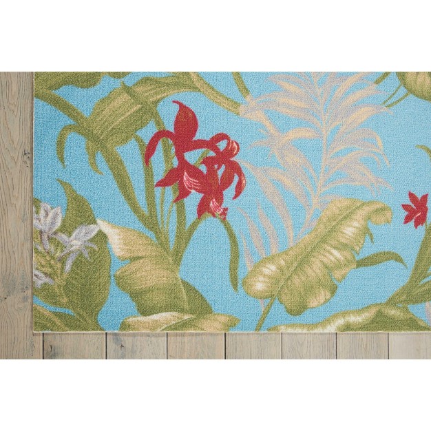 Aqua Indoor outdoor Area Rug By Nourison