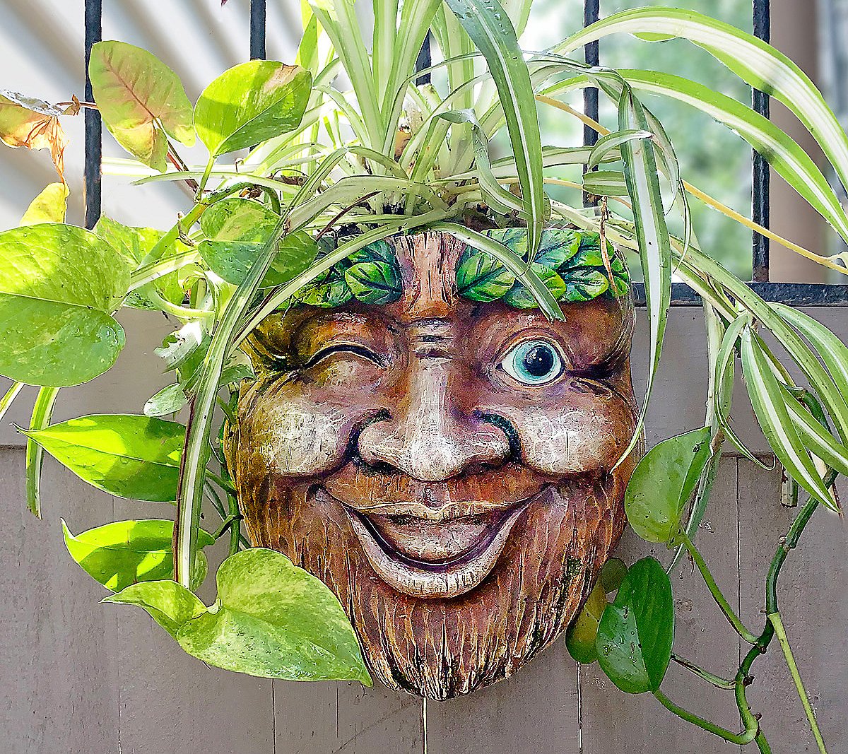 RCS Planter Tree Face Wink