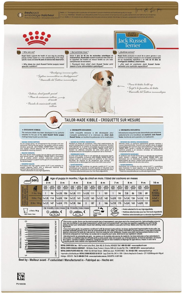 Royal Canin Breed Health Nutrition Jack Russell Terrier Puppy Dry Dog Food