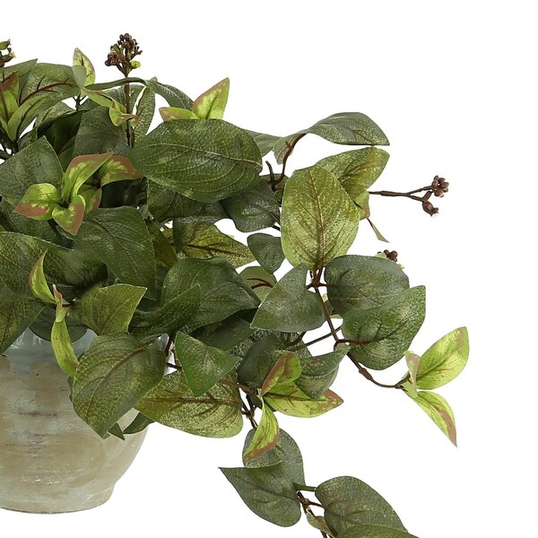 Ivy Arrangement in a Clay Pot