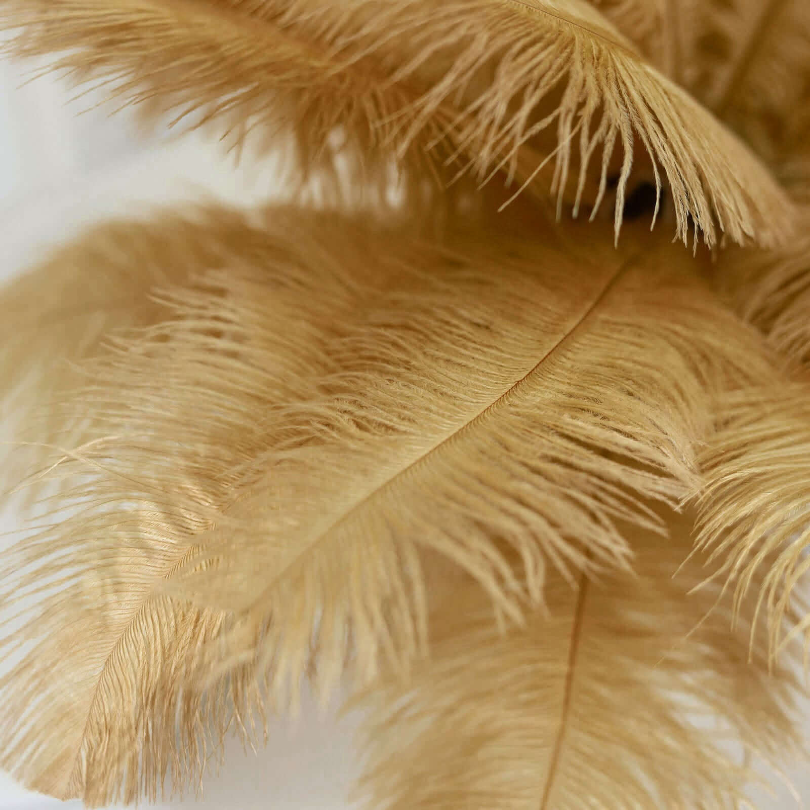 12 Pack Gold Natural Plume Real Ostrich Feathers, DIY Centerpiece Fillers 13