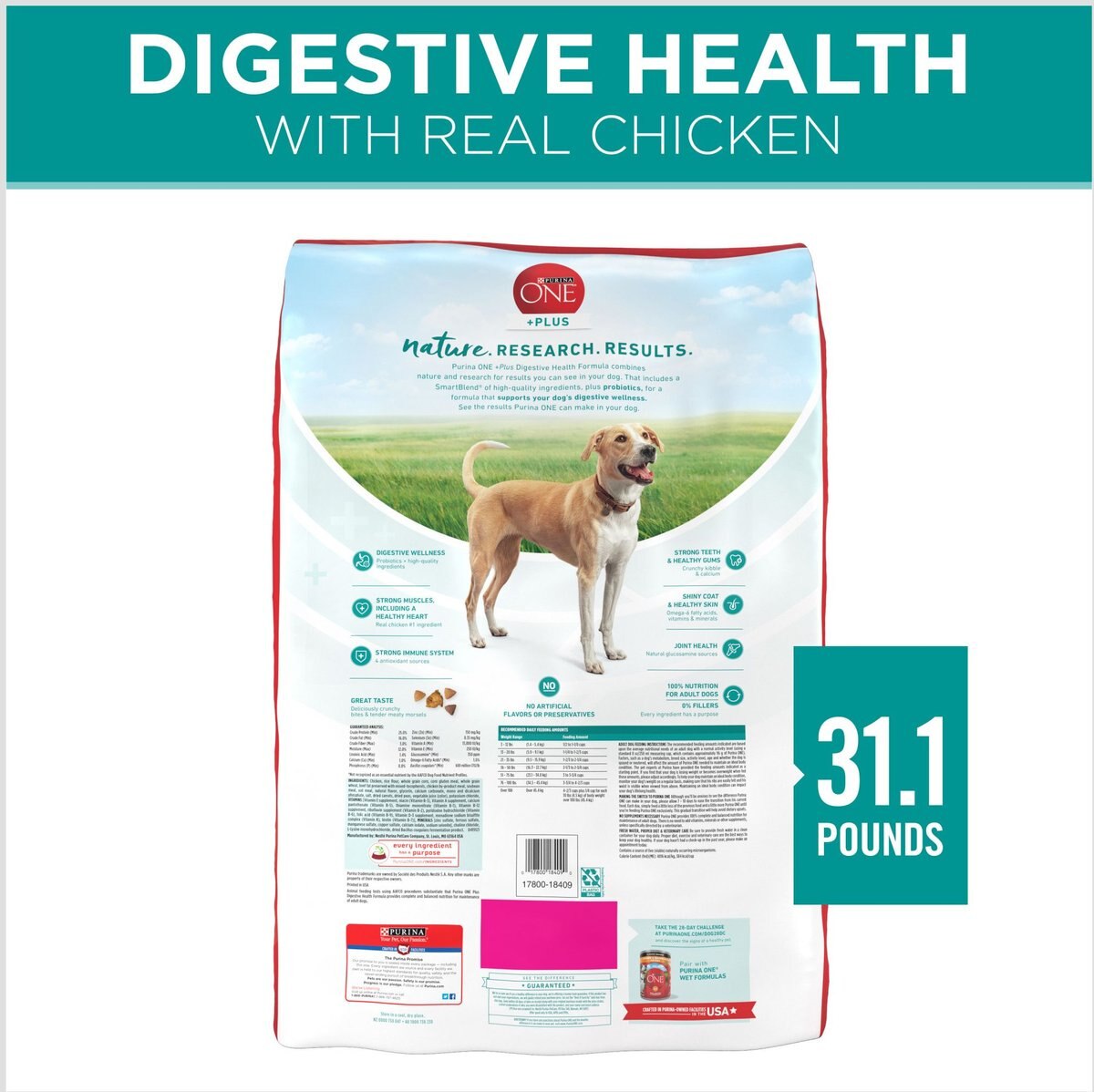 Purina ONE +Plus Adult Digestive Health Formula Dry Dog Food