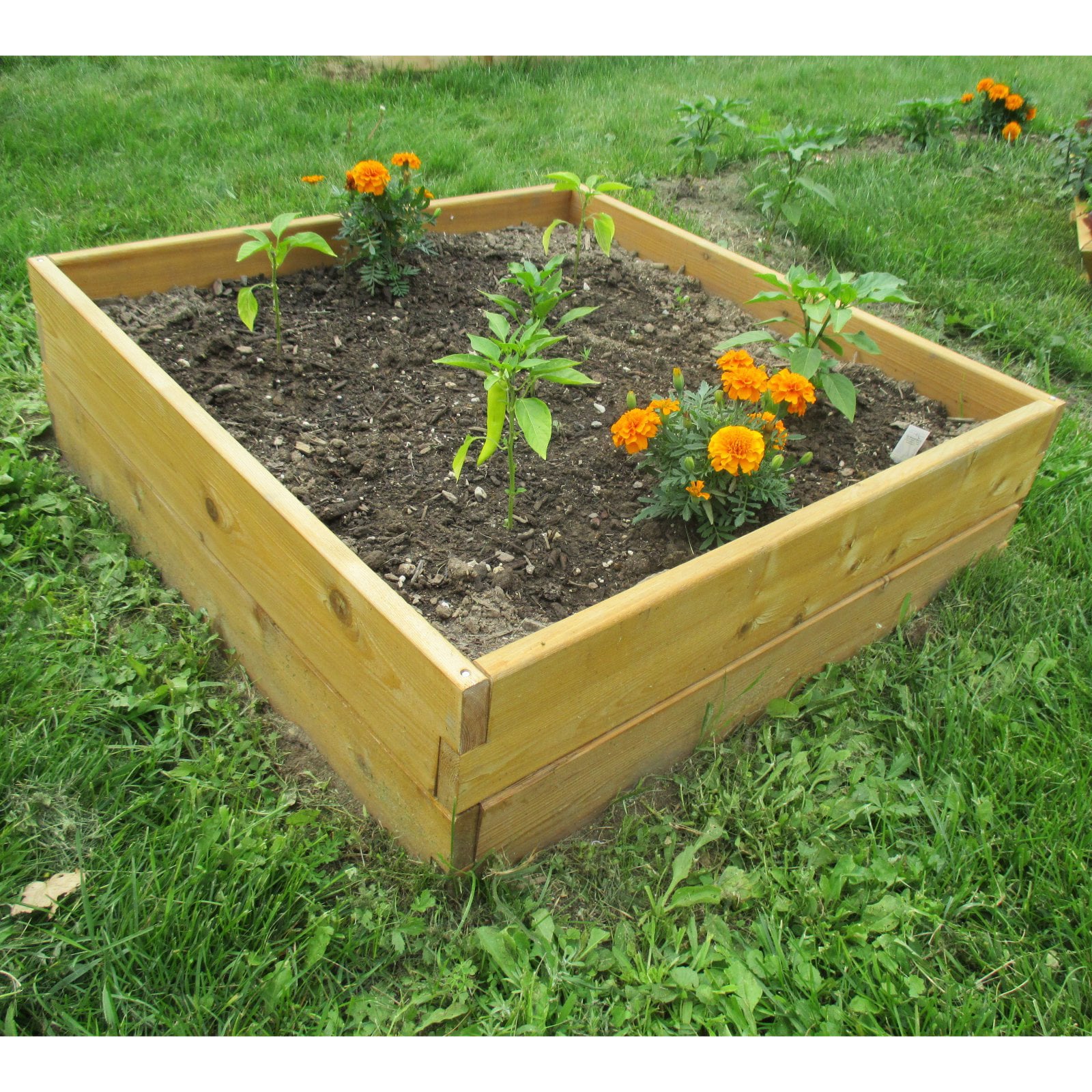 Infinite Cedar 3 ft W x 3 ft L x 11 inches Ht Raised Garden Bed Kit