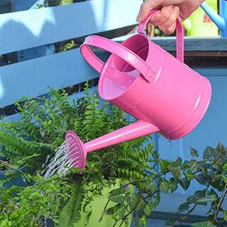 Cubilan 1.5 l Small Bright Pink Watering Can for Indoor Outdoor Plants Cute Little Kids Gardening Watering Cans B08SLWDGZV