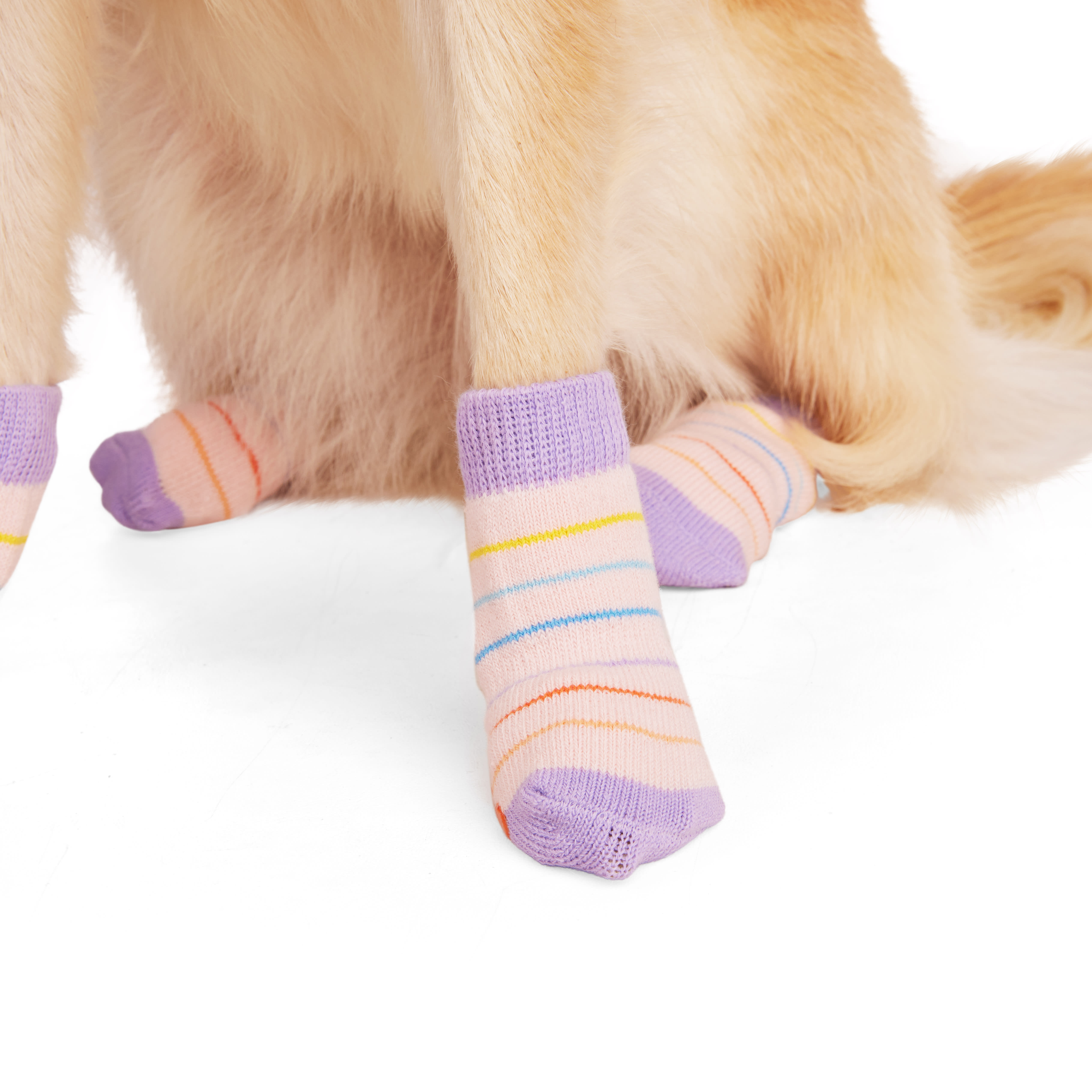 YOULY Butterfly Stripe Dog Sock， Small