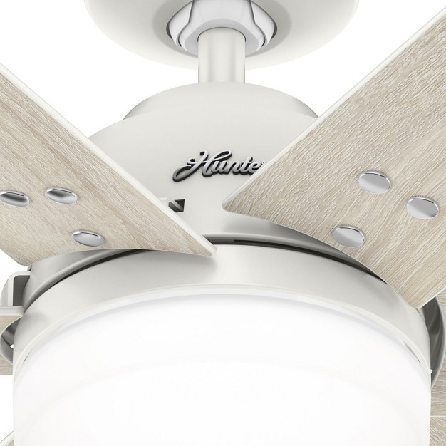 Pacer Ceiling Fan With Led Light Hunter Fan