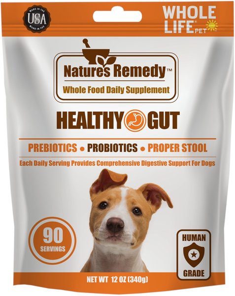 Whole Life Nature's Remedy Digestive Health Whole Food Dog Supplement， 12-oz bag