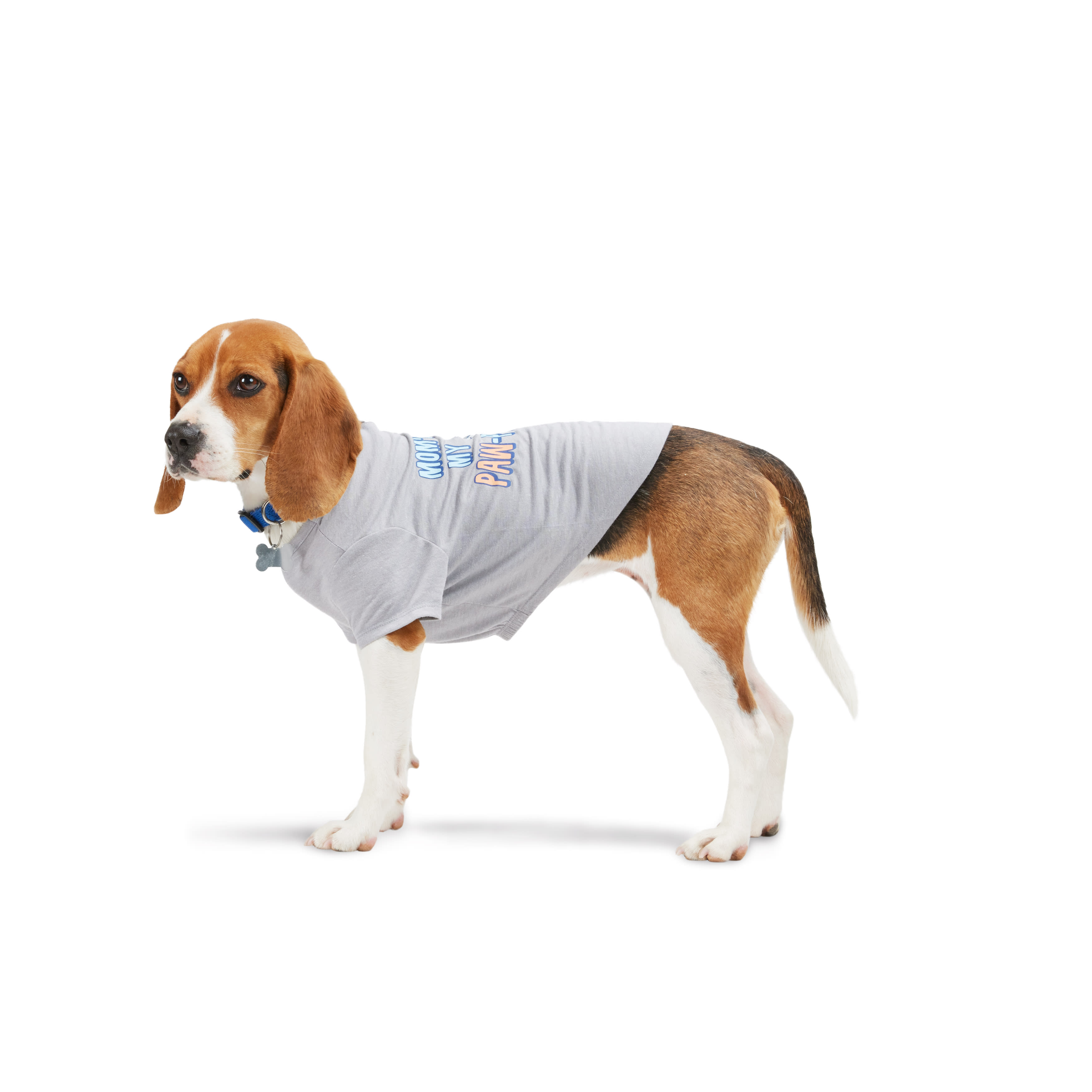 YOULY Pawparazzi Dog Tee， XX-Small