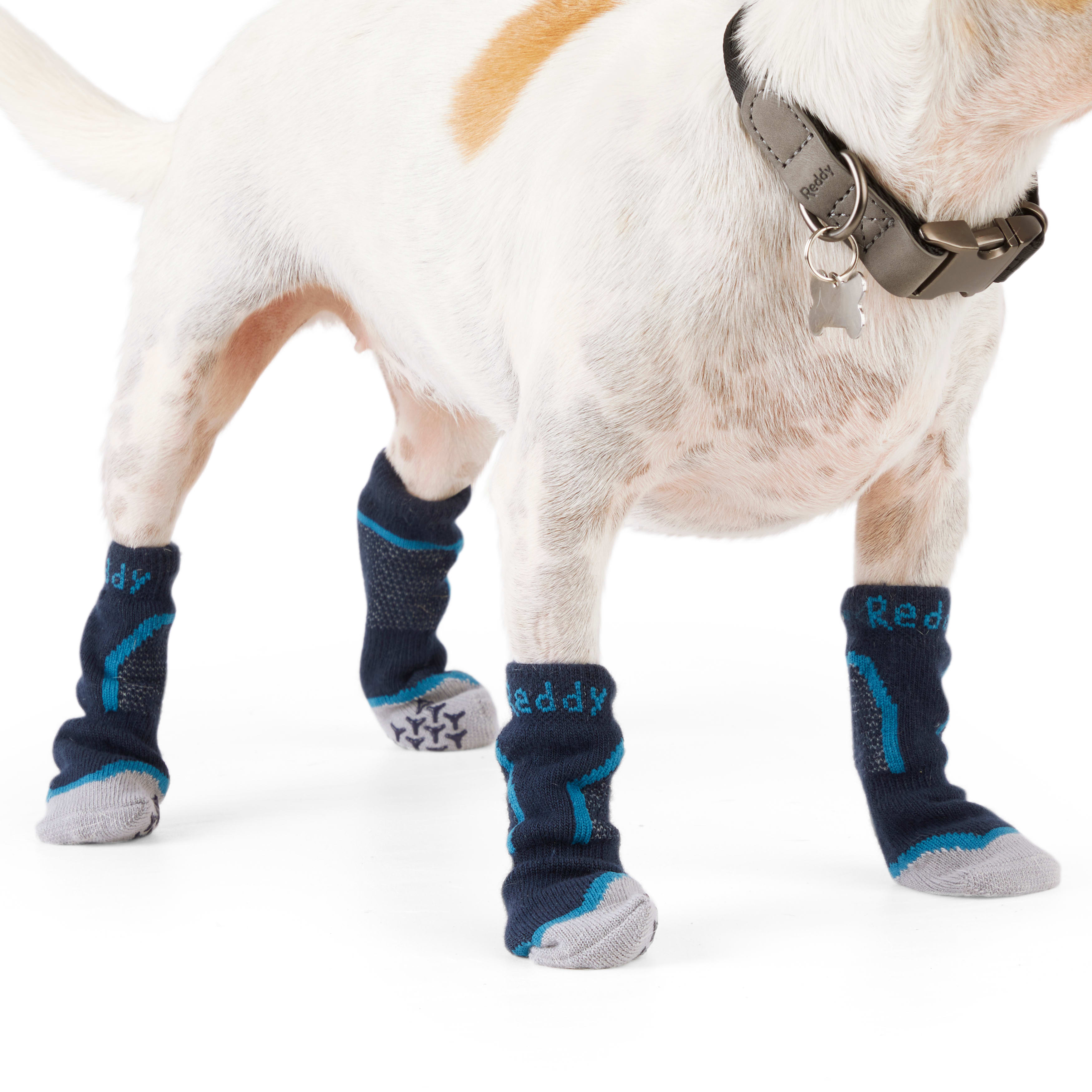 Reddy Navy Seamless Boot Sock for Dogs， X-Small/Small