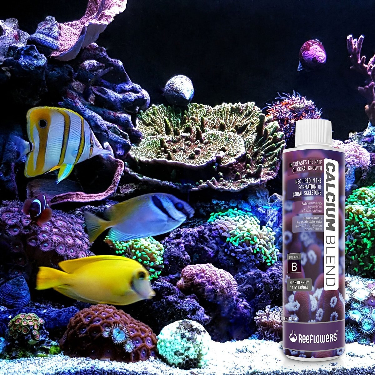 Reeflowers Calcium Blend B Aquarium Water Treatment