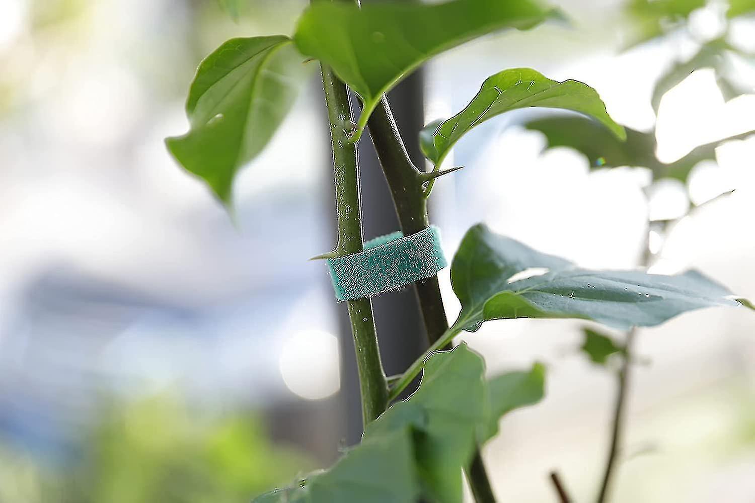 Plant Ties Garden Tape Reusable Nylon Plant Tie Strap，tomato Plant Support，tree Ties Plant Supports(