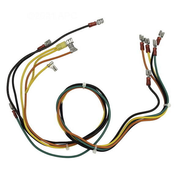 Raypak 004008F Wire Harness Iid