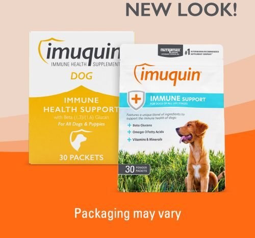 Nutramax Imuquin Immune Support Powder Immune Supplement for Dogs， 30 count