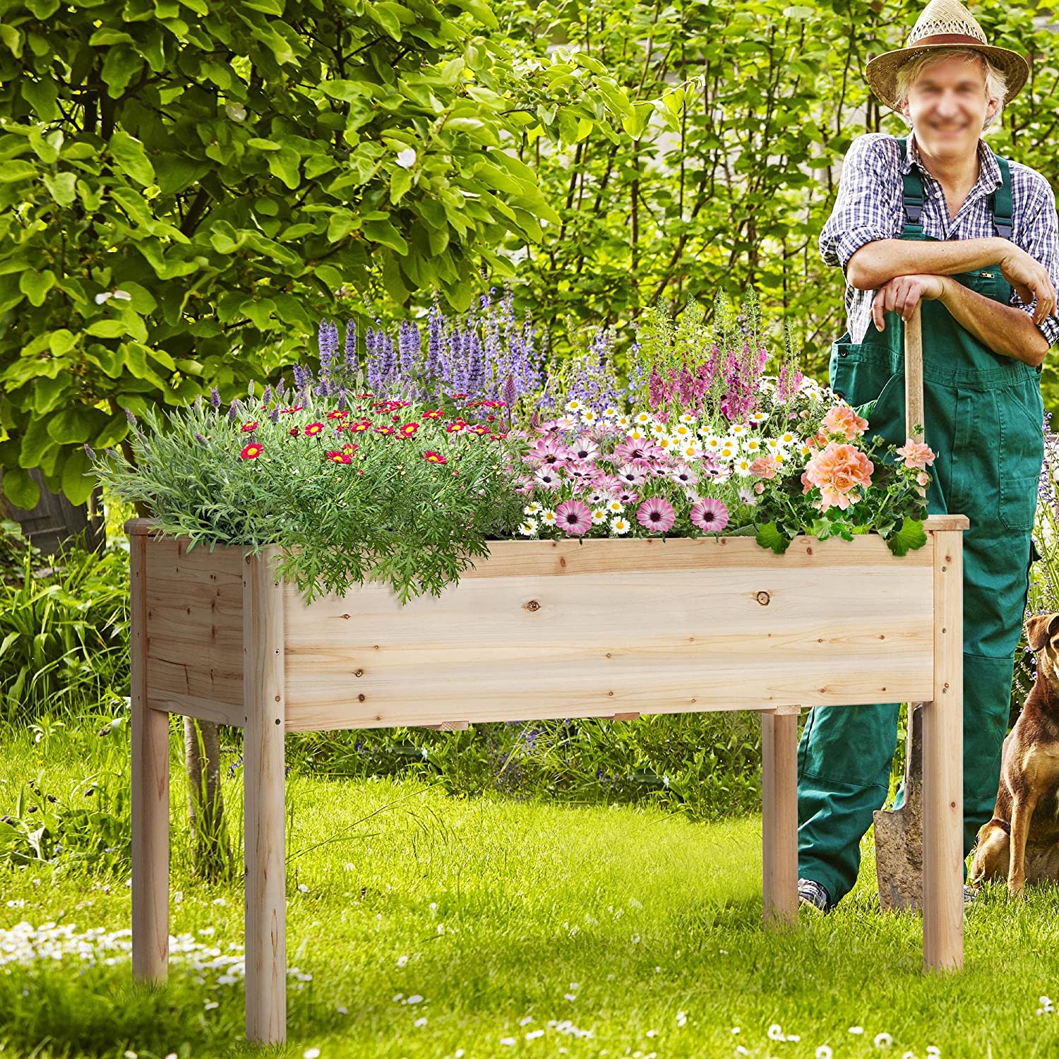 Raised Garden Bed 48x24x30in Elevated Wooden Planter Box with Legs Standing Growing Bed for Gardening/Backyard/Patio/Balcony