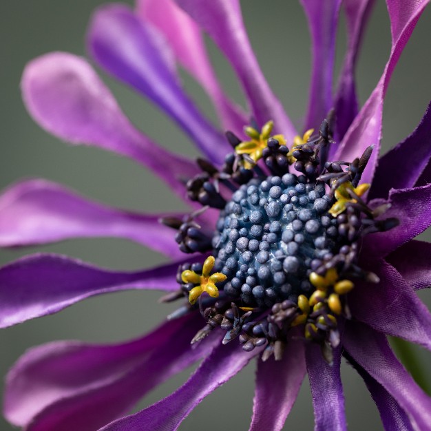 Sullivans Artificial Daisy Bloom Stem 22