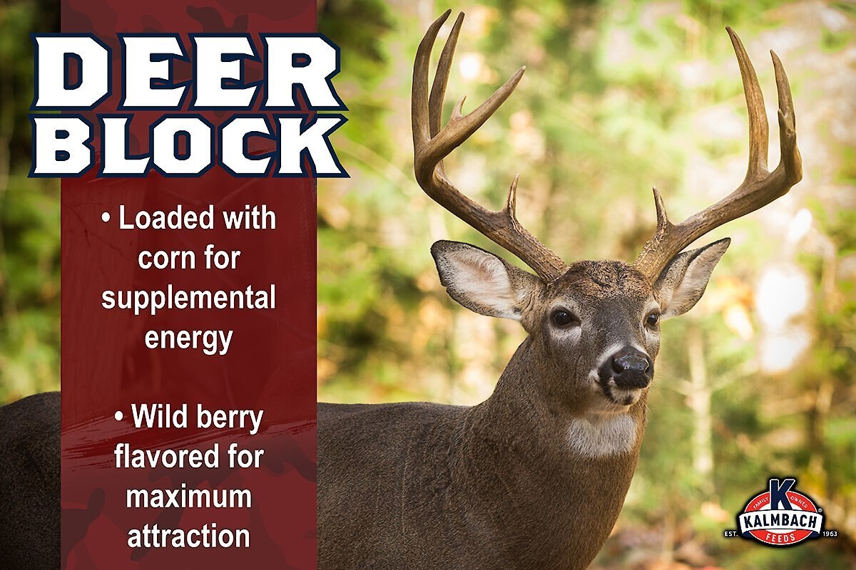 Kalmbach Feeds Wild Berry Flavored Deer Block， 30-lb block