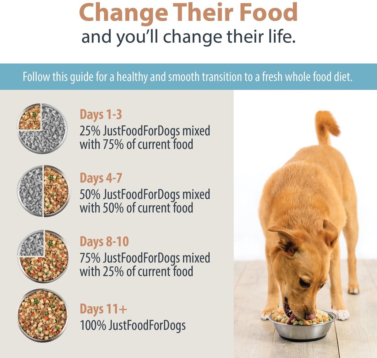 JustFoodForDogs DoItYourself Chicken and White Rice Recipe Fresh Dog Food Recipe and Nutrient Blend