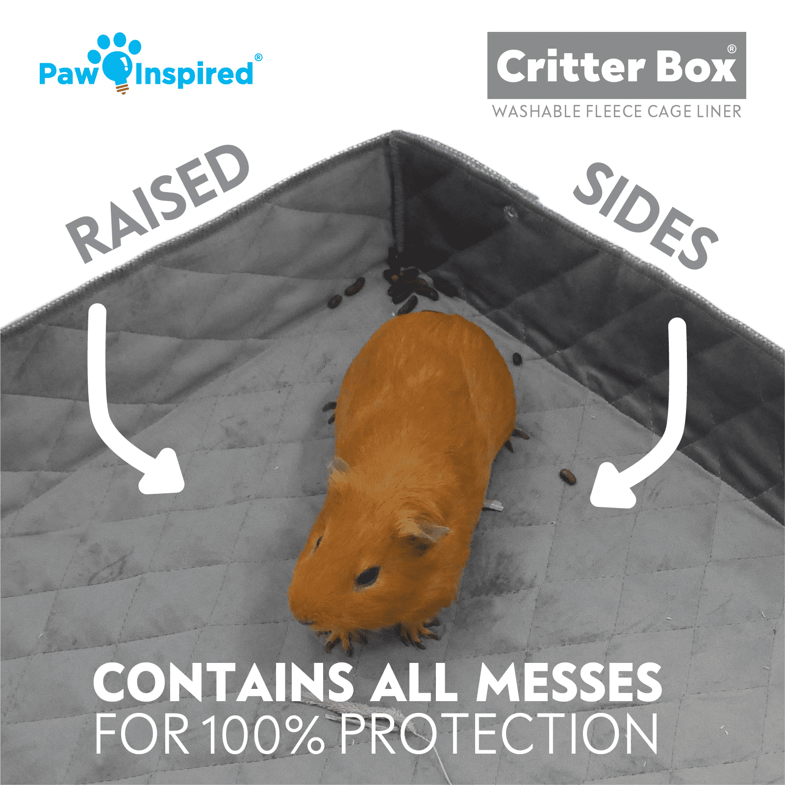 Paw Inspired Critter Box | Guinea Pig Cage Fleece Liner for Midwest CandC Habitat Cage Canvas Bottom | Washable Waterproof Raised Sides Fleece Bedding for Guinea Pigs Rabbits and Small Animal (CandC 2x3)