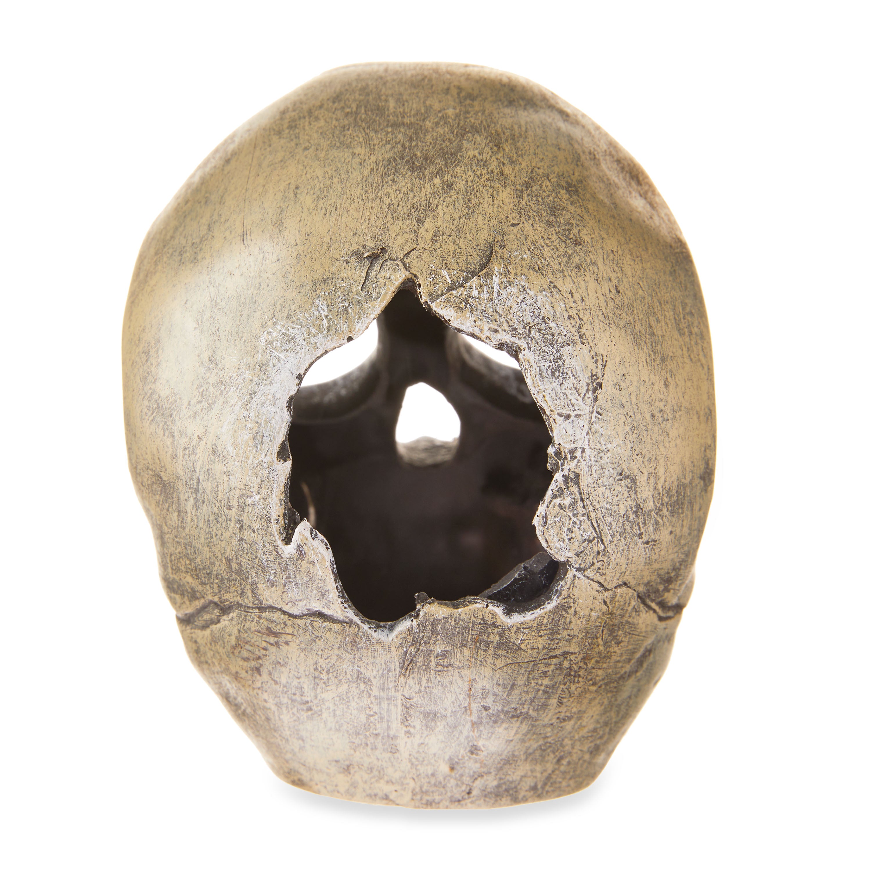 Aqua Culture Human Skull Aquarium Ornament