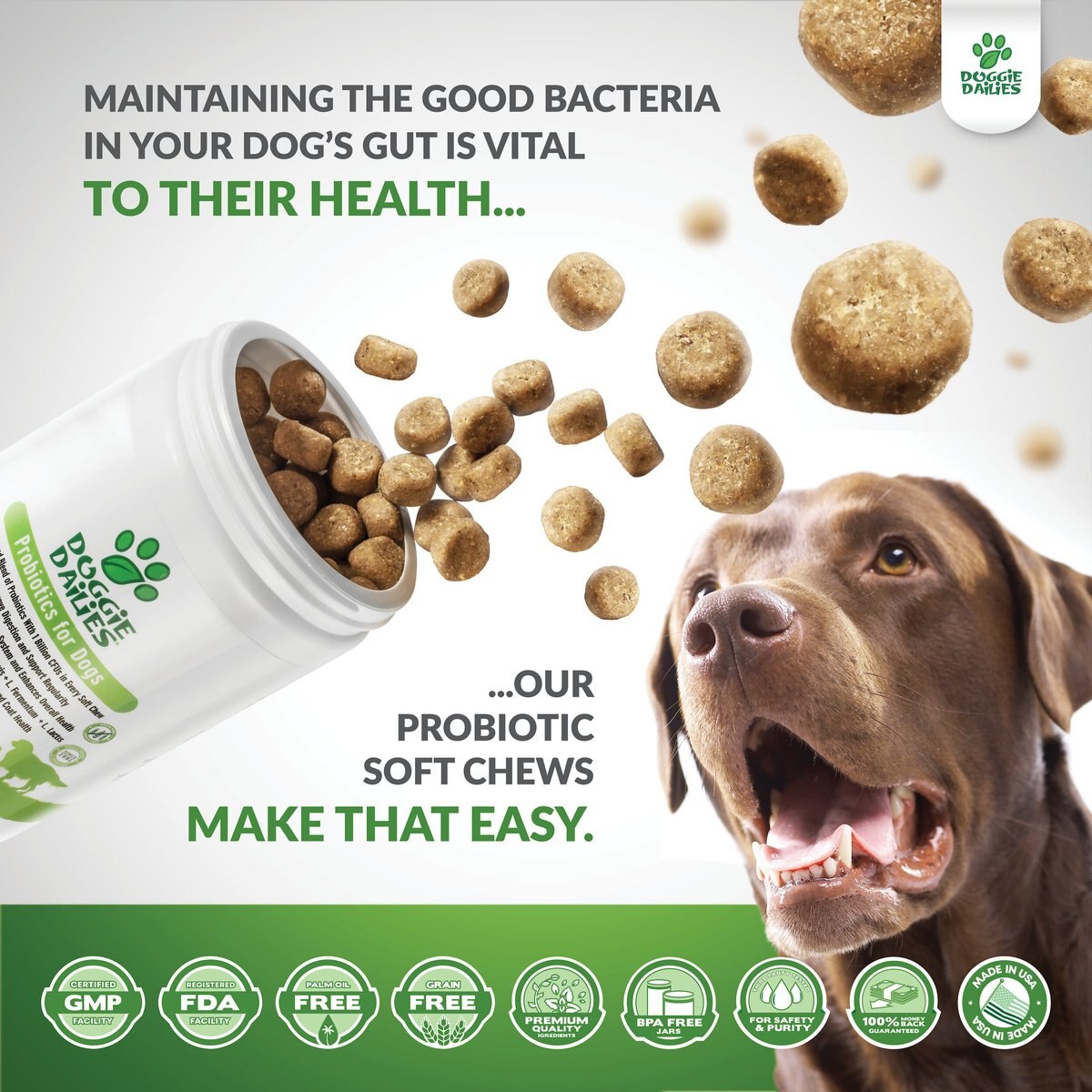 Doggie Dailies Advanced Probiotics and Prebiotics Dog Supplement