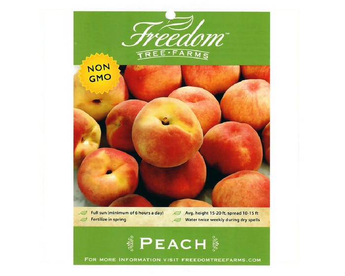 Freedom Tree Farms June Gold Yellow Peach Tree in 5 Gallon Bucket