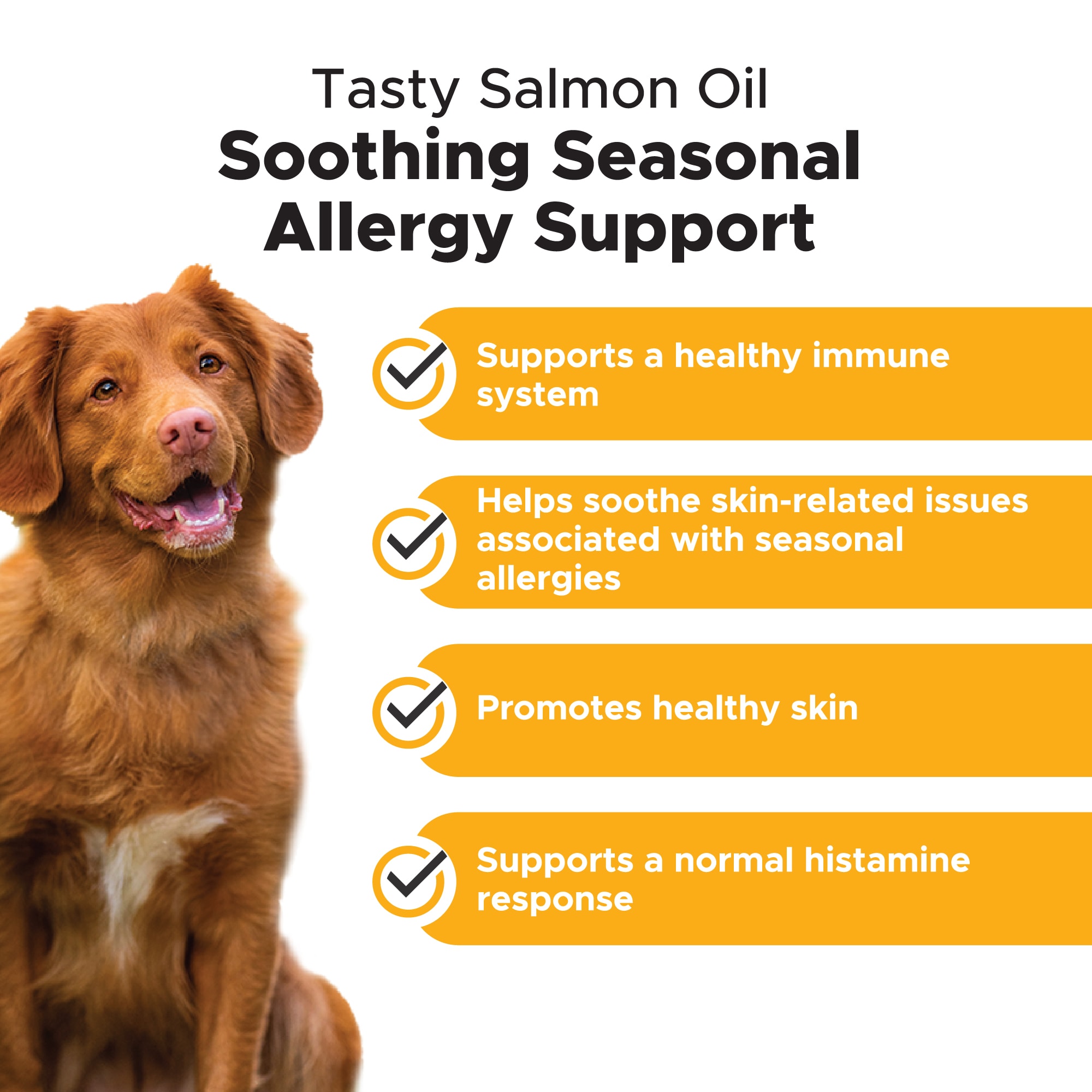 Pet Honesty Allergy Anti-Itch Salmon Oil Liquid Supplement for Dogs， 16 fl. oz.