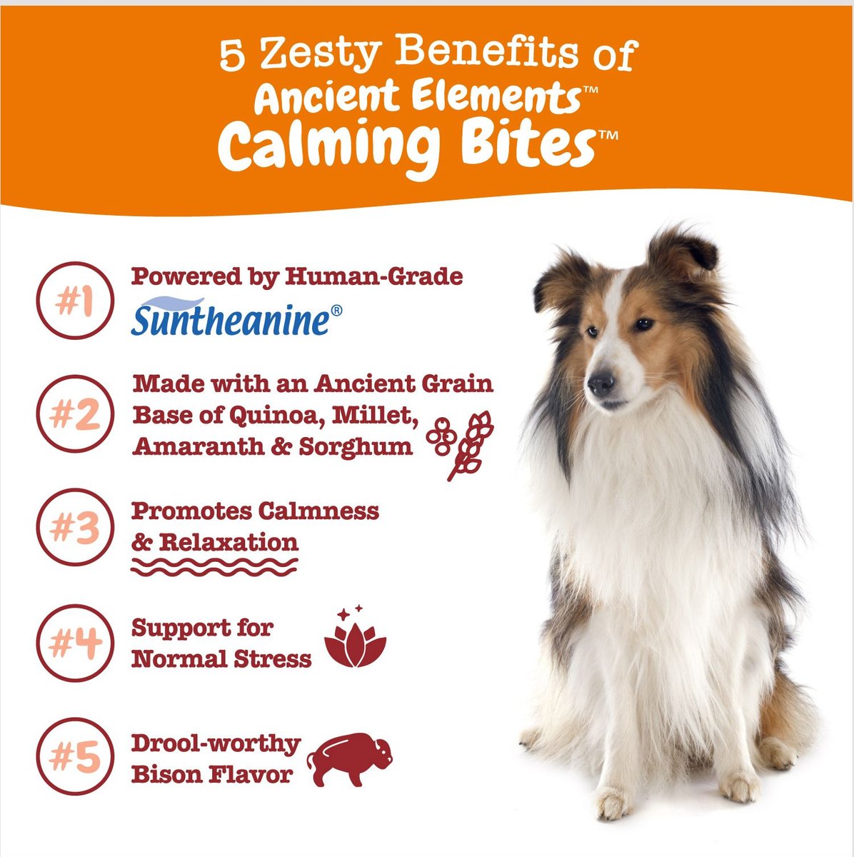 Zesty Paws Ancient Elements Calming Elements Bison Flavored Soft Chews Calming Supplement for Dogs